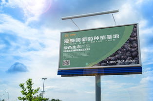 戶外高炮廣告設(shè)計 葡萄產(chǎn)品推廣的藝術(shù)與策略